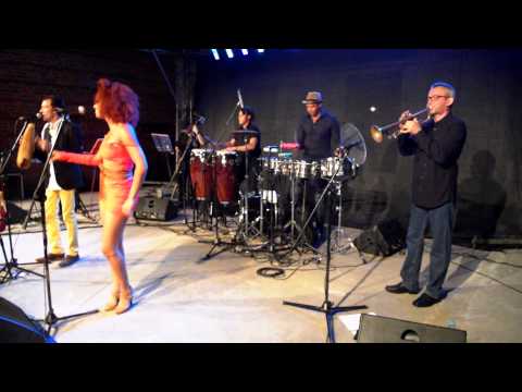 Geyer Music Factory. Koncert TradiCuba (2)