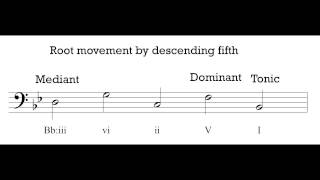 Music Theory 1 - Video 19: Harmonic Progression.