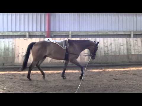 Enjoy und die Longe ^^