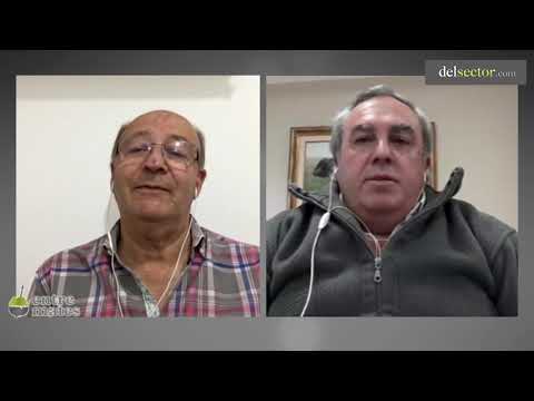 JOSE ANTONIO ALONSO -  MARTIN Y ALONSO S.R.L.