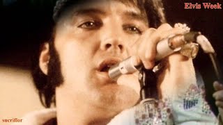 Elvis Presley Love Song Of The Year Funny Version HD