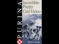 Purina Puppy Chow Incredible Puppy Care Video
