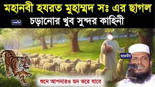 মহানবী হযরত মুহাম্মদ (সাঃ) এর ছাগল চড়ানোর খুব সুন্দর ঘটনা । তোফাজ্জল হোসেন ভৈরবী। Bangla Waz 2025
