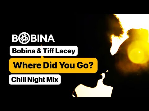 Bobina & Tiff Lacey - Where Did You Go? (Chill Night Mix) [Music Video 4K]