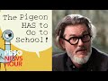 Author Mo Willems Answers 3 Questions From Kids