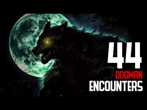 download lagu mp3 mp4 Dogman Encounters Stories, download mp3 Dogman Encounters Stories free downloadn, video klip Dogman Encounters Stories