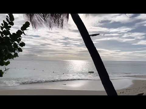 Videos del Keyonna Beach 4★ en Saint John, Antigua y BarbudaVer MásVerPrecios17CerrarConsulta por Whatsapp 🇦🇷BookingTripadvisorExpediaTravelocityOrbitzPricelineTripSkyscannerDespegarKayakHotelesDestiniaTrivagoLastminuteHotwireTuiWotif