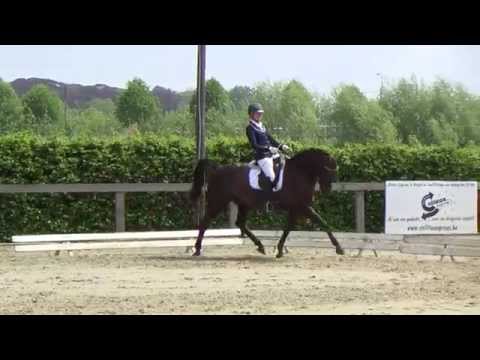 Innotime van't Dijkhof - A6 - Hof ter Couter