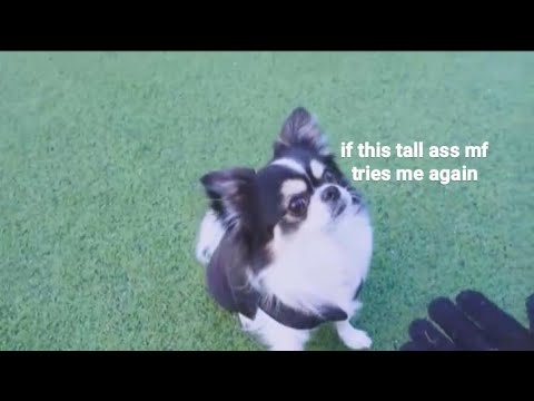 kkami ignoring hyunjin for 3 minutes 17 secs straight