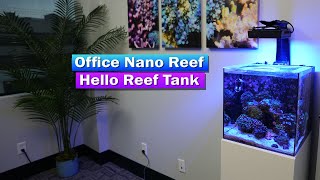 Office Nano Reef - Hello Reef Tank update