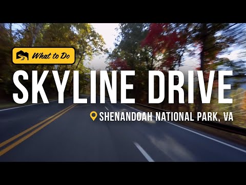 Explore Skyline Drive and Skyland Resort in Shenandoah National Park | Get Out of Town
