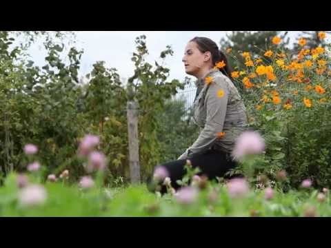 comment construire cabane pour insecte