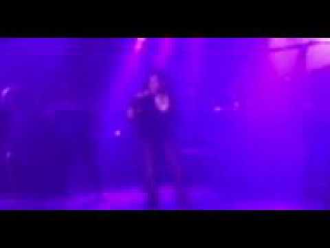 Honeyvox covering the bird