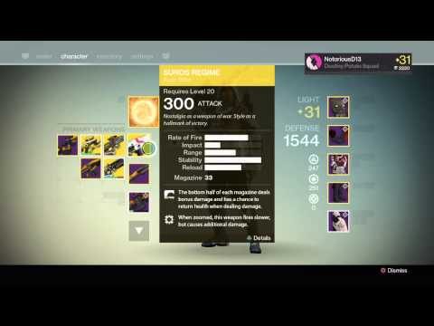 Destiny Level 31 Hunter