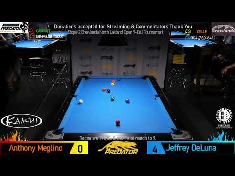 Jeffrey De Luna vs Anthony Meglino | 2021 Brewlands North Lakeland Open 9-Ball Event Match #17