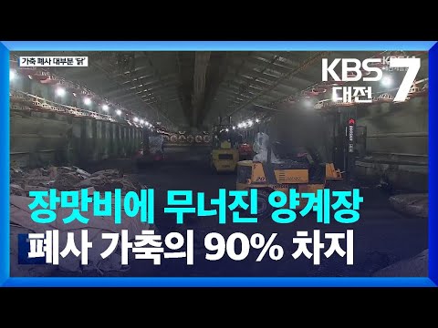 , title : '장맛비에 무너진 양계장…폐사 가축의 90% 차지 / KBS  2023.07.18.'
