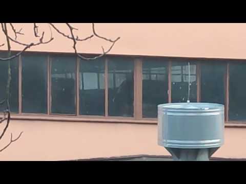 Bartuś 419 - Przyneta