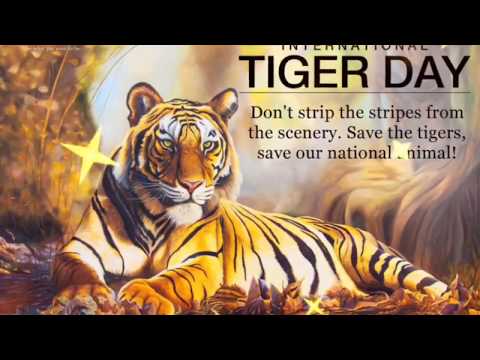 International Tiger day status 2020||July 29||Save Tiger||Tiger day wishes, images, WhatsAppStatus