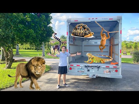 MOVING ALL MY BABY ANIMALS TO THE ZOO !