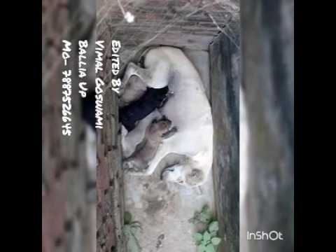 Tu kitni achhi hair tu kitni bholi hai