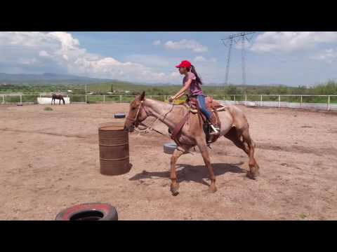 GENTE DE A CABALLO / horse people