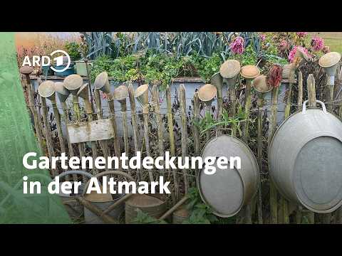 Gartenreise in die Altmark: Diese Ausflugsziele kannst du in Sachsen-Anhalt entdecken | MDR Garten