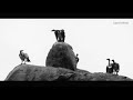 China Gate Song Sang By Jagira