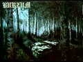 Burzum - Der Tod Wuotans - a Burzum - Der Tod Wuotans