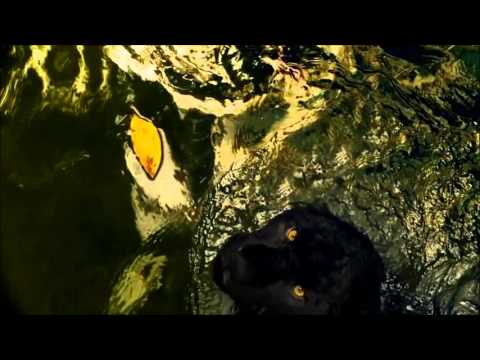 Tinie Tempah (feat. John Martin) - Children Of The Sun (2Shadez Bootleg)