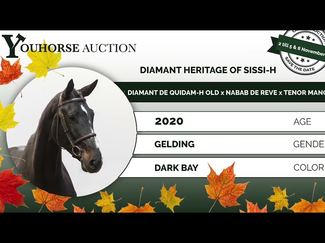 Diamant Heritage of Sisi homevideo