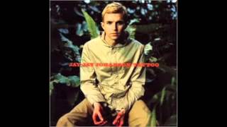 Jay-Jay Johanson - Quel Dommage