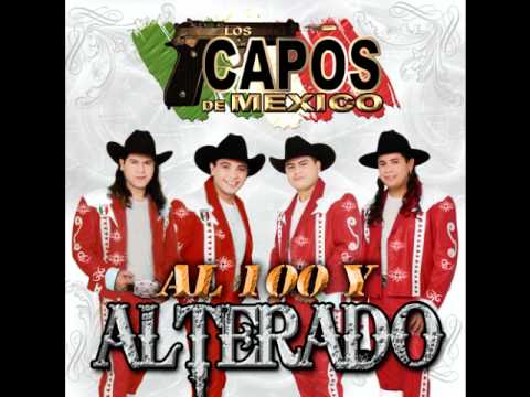Los Capos De Mexico- La Canelera