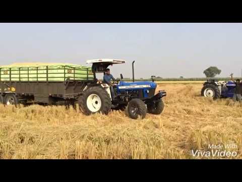 download lagu mp3 mp4 Btsf, download lagu Btsf gratis, unduh video klip Btsf