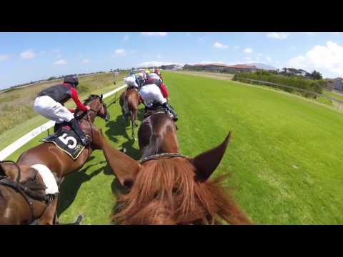 WHISKY BARON SAYS WATCH OUT SUN MET