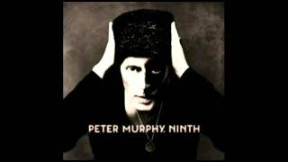 Peter Murphy - The Prince &amp; Old Lady Shade