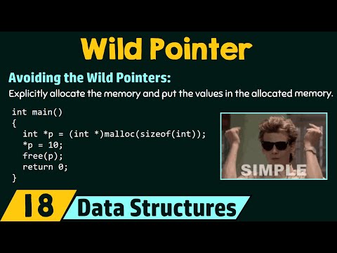 Understanding the Wild Pointers