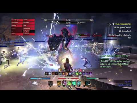 ESO vMoL Twins No Originals Vashai Warden Tank POV - CWC