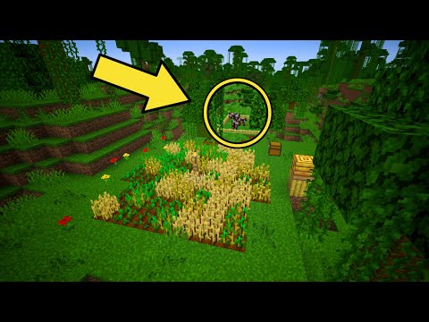 Jungle Base Cow Situation! | Let's Play! Minecraft Ep.181