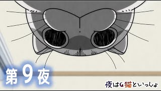 큐르짱!😍 - アニメ『夜は猫といっしょ』第9夜「うまく持ち上げられない」