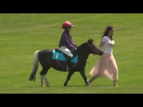 Dostihy Most 12. 6. 2022 - Pony liga Akraz bezpečnostní agentura - 1. rozběh