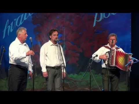 Tine Lesjak z Oplotničani - Najini spomini (v živo)