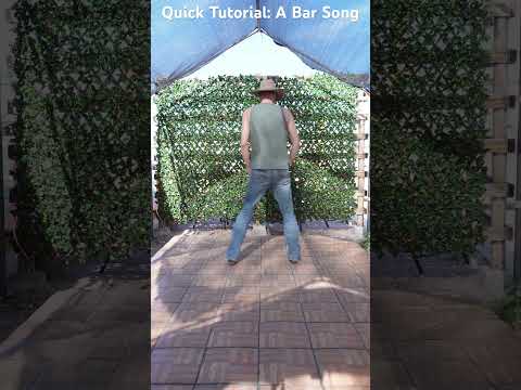 Quick Tutorial: A Bar Song #linedancing #linedance #abarsong #shaboozey #linedancelesson