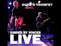 Guided by Voices - Cut Out Witch (live) from Ogre's Trumpet