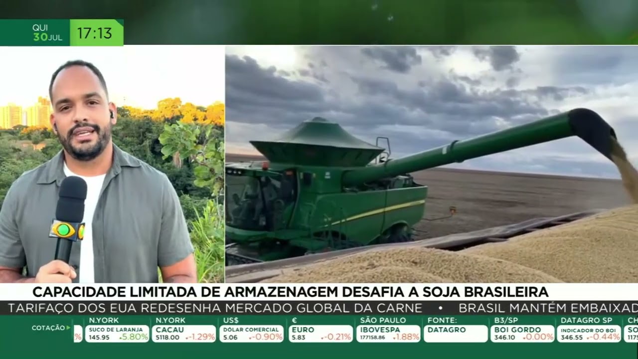 Capacidade limitada de armazenagem desafia a soja brasileira