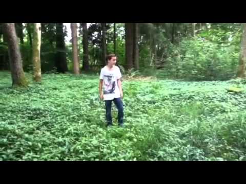 Es war einmal tief im Wald