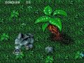 Frenetic Amiga