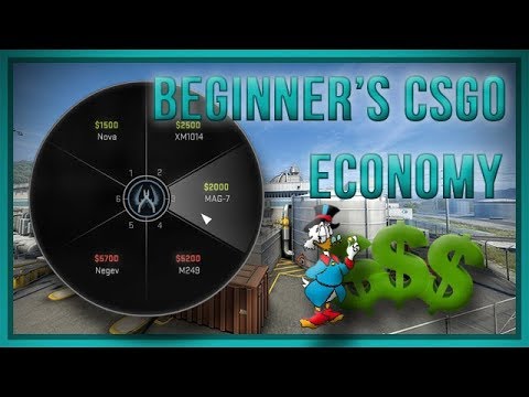 zorlaKOKA Beginner's CSGO - Economy
