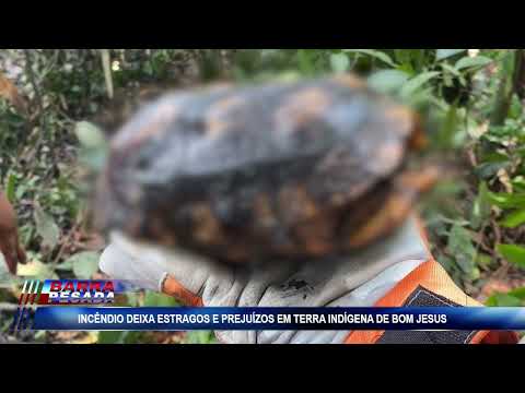 Fogo devasta Terra Indígena no sudeste do Pará