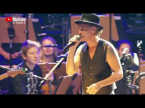 Brings & Beethoven Orchester Bonn - Bis ans Meer (18.08.2023)