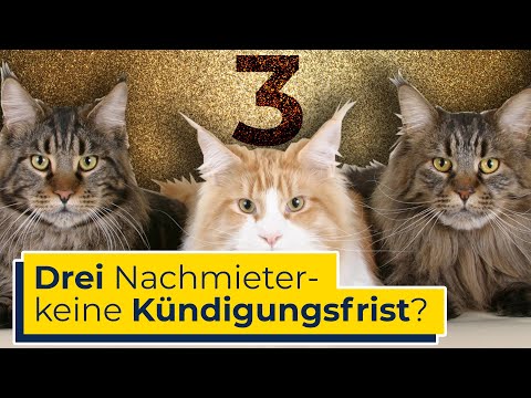 Drei Nachmieter stellen - Ohne Kündigungsfrist aus dem Mietvertrag?